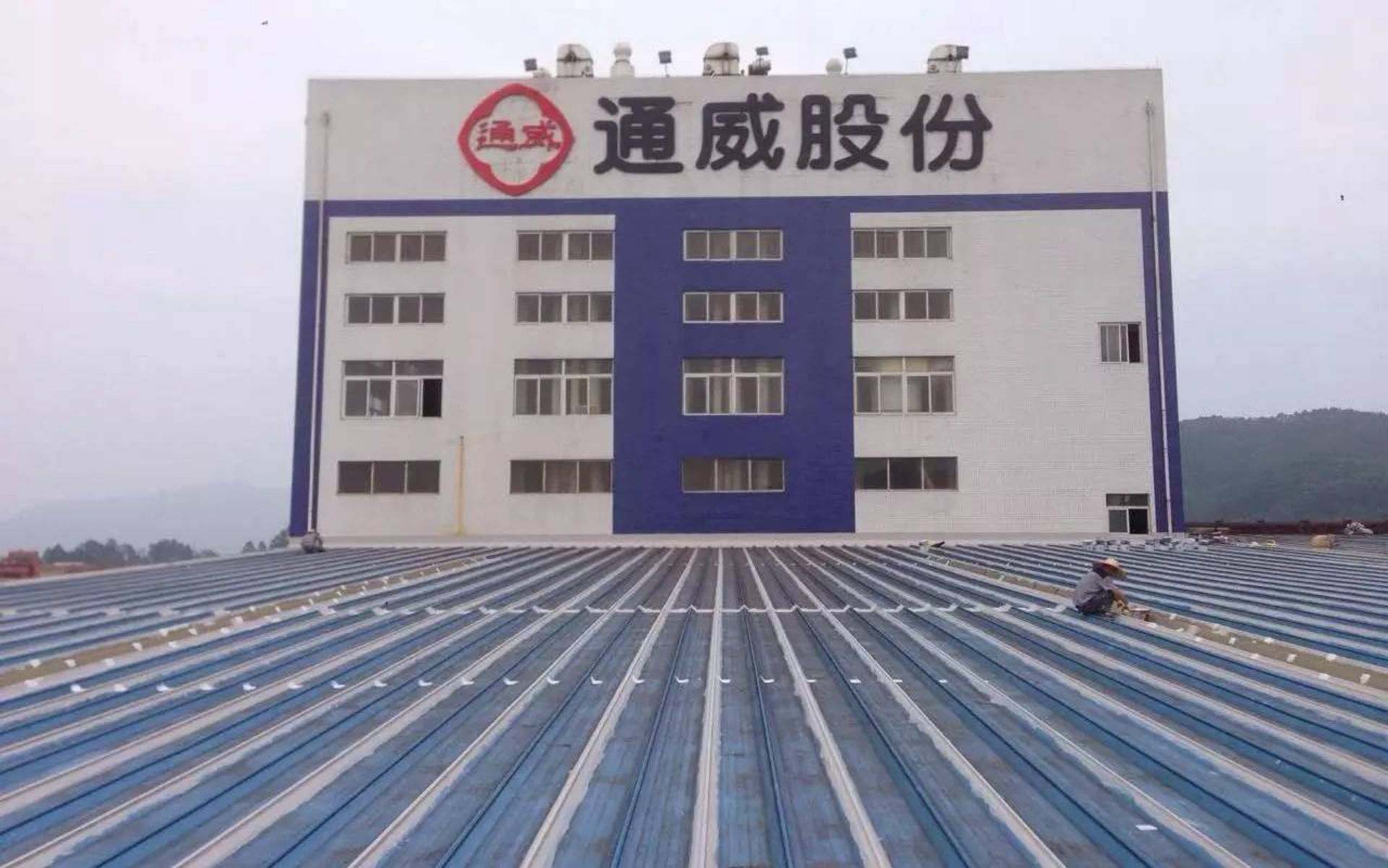 通威新能源